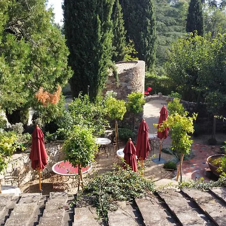 Domaine Les Mésanges