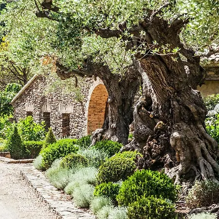 Domaine Les Mésanges
